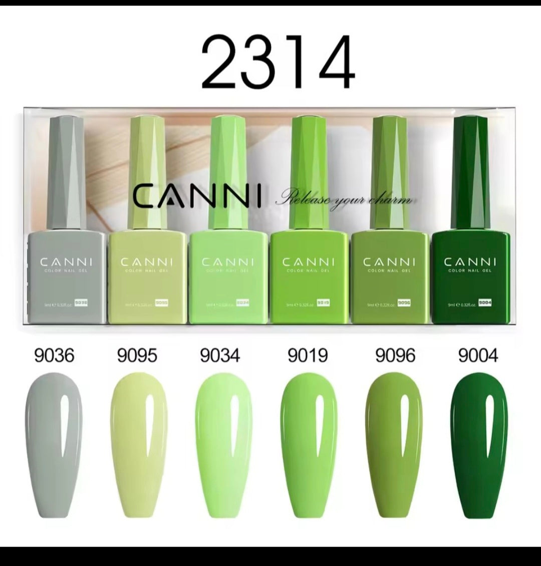 CANNI 6PCS 9ml HEMA & TPO-Free Jelly Pink Nude Gel Polish Set – Semi-Permanent UV/LED Soak-Off Nail Gel